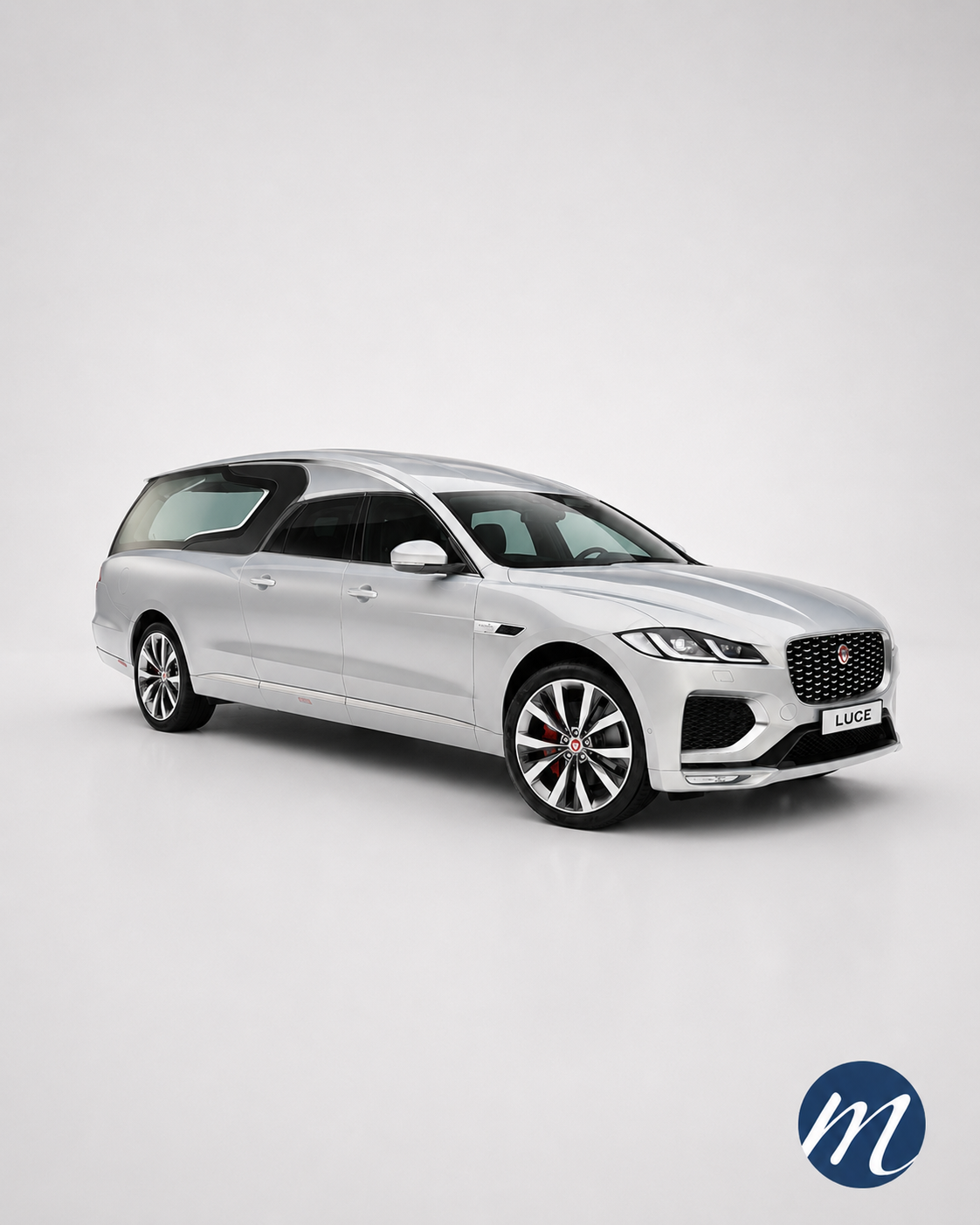 Jaguar Luce grigio